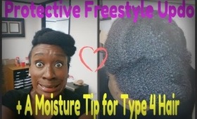 Natural Hair: Protective Style Challenge Week 3-Freestyle Updo