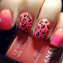 Leopard And Ombre