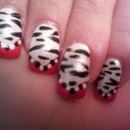 Pink and Zebra