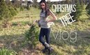 My First Vlog! Visiting a Christmas Tree Farm