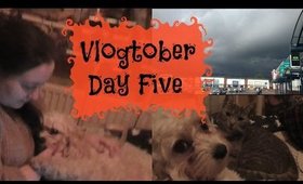 Latte's & Staff Meeting | Vlogtober