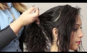 Curly Hair Ponytail Tutorial