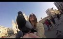Pigeons in Milan