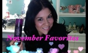 November Favorites 2012 !!!!