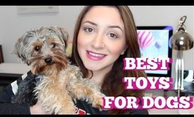 BEST TOYS FOR SMALL DOGS 2018