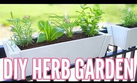 DIY HERB GARDEN | How To Plant an Herb Garden - Great for Apartments!! Easy Beginner Gardening!!