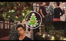VLOG: Putting Up Our Christmas Tree!