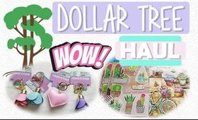 Dollar Tree Haul #10 | Super Fun Finds, Late Haul | PrettyThingsRock