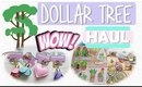 Dollar Tree Haul #10 | Super Fun Finds, Late Haul | PrettyThingsRock