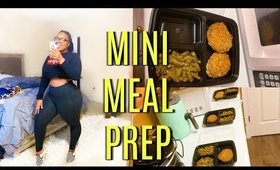 MINI MEAL PREP | LOW CARB LUNCH MEAL PREP