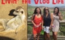 Vlog: Day in the Life NVMAKEUPLOVER