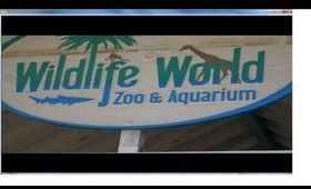 Zoo & DRIVE IN