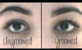 How I Groom & Take Care Of My Eyebrows