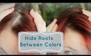 Hide Roots Between Colorings [Quick Tip Tuesday]