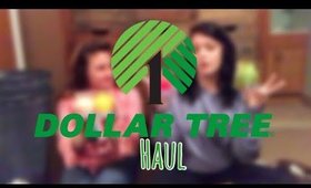 Dollar Tree Haul | Cute Magnets, Fruit Lotion, Snacks & Cute Graphic Men Socks | February 2018