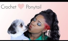 Crochet Ponytail