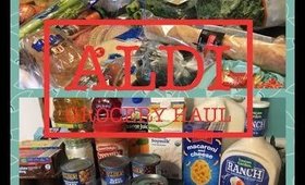 Aldi Grocery Haul under $100