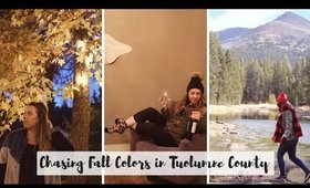 CHASING FALL COLORS IN TUOLUMNE 🍂🌲🍁 YOSEMITE NATIONAL PARK, SEQUOIAS, WINE TASTING, HARD CIDER