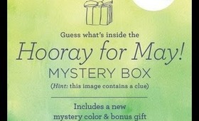 Julep May Mystery box 2013