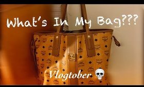 Vlogtober | Day 2 What’s In My Bag??? & Mini Storytime