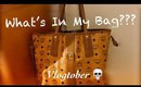 Vlogtober | Day 2 What’s In My Bag??? & Mini Storytime