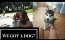 We got a puppy? | Discover Your Freedom Ep 03