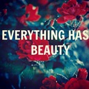 Everything Has Beauty