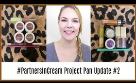 #PartnersInCream Project Pan Collab Update #2