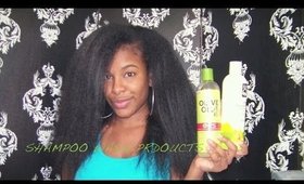 HAIR REGIMEN | My Shampoo Wash Products (2013)