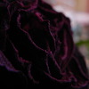 TalkBoutique D.