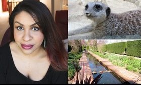 LET'S GO SEE SOME MEERKATS! Travel Vlog - Roundhay Park, Leeds