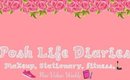 Posh Life Diaries Live Stream Huge Planner Accessories  Haul
