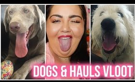 SO MANY VLOG HAULS | VLOOT 6