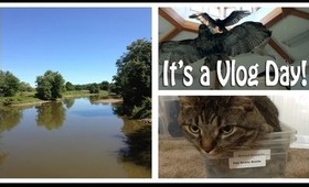 Vlog: Wildlife Adventures! (August 10, 2013)