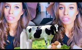 Q+A: My Thoughts on VEGETARIANS + The Life of A Dairy Cow (Not Graphic)