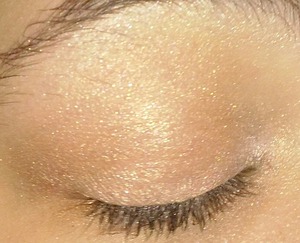 Playing around with a shimmer pallet, not the best :x