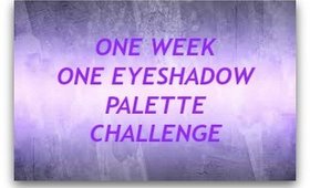 Week 1 Palette Challenge Review