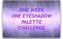 Week 1 Palette Challenge Review