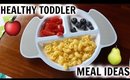 HEALTHY TODDLER MEAL IDEAS