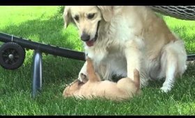 Bancroft & Cadence Playing!!