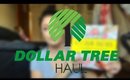Dollar Tree Haul | 15$ Coloring Book, Candy, New LA Colors & Elf Makeup | December 19, 2017