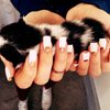 Nails and kittens *-*