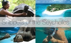 Snippets of the Seychelles | YazMakeUpArtist