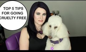 Top 5 Tips for Going Cruelty Free | Cruelty Free Makeup & Beauty | Phyrra
