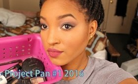 Project Pan #1 (2016)