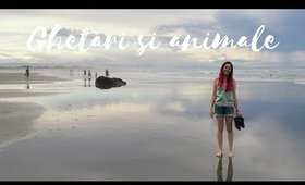 Noua Zeelanda | Travel Vlog | Luna de miere | Part 3