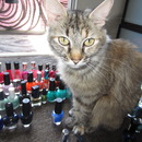 Shredder wants her nails painted<3