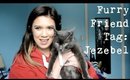 Furry Friend Tag: Jezebel | Alexis Danielle