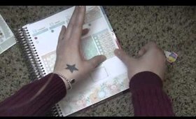 Plan with Me | Jan 11- 17 | Erin Condren Life Planner