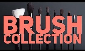 MY MAKEUP BRUSH COLLECTION/JOURNEY!
